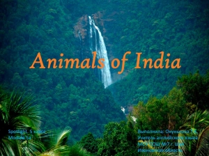 Spotlight 5 класс. "Animals of India"